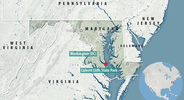 La zona di ritrovamento del fossile