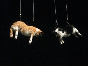 Lo strano concetto di arte