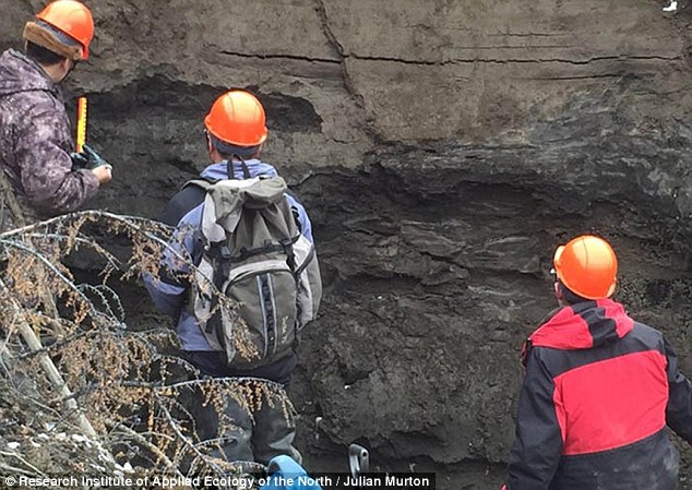 Interno del cratere 2