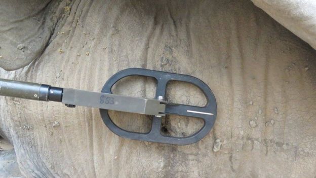 I raggi X fatti a Pretty Boy