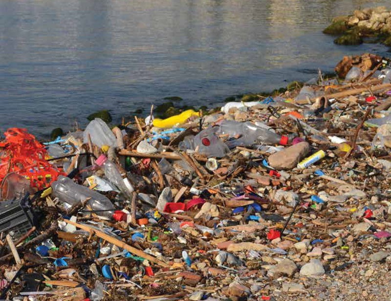 Plastica sul litorale