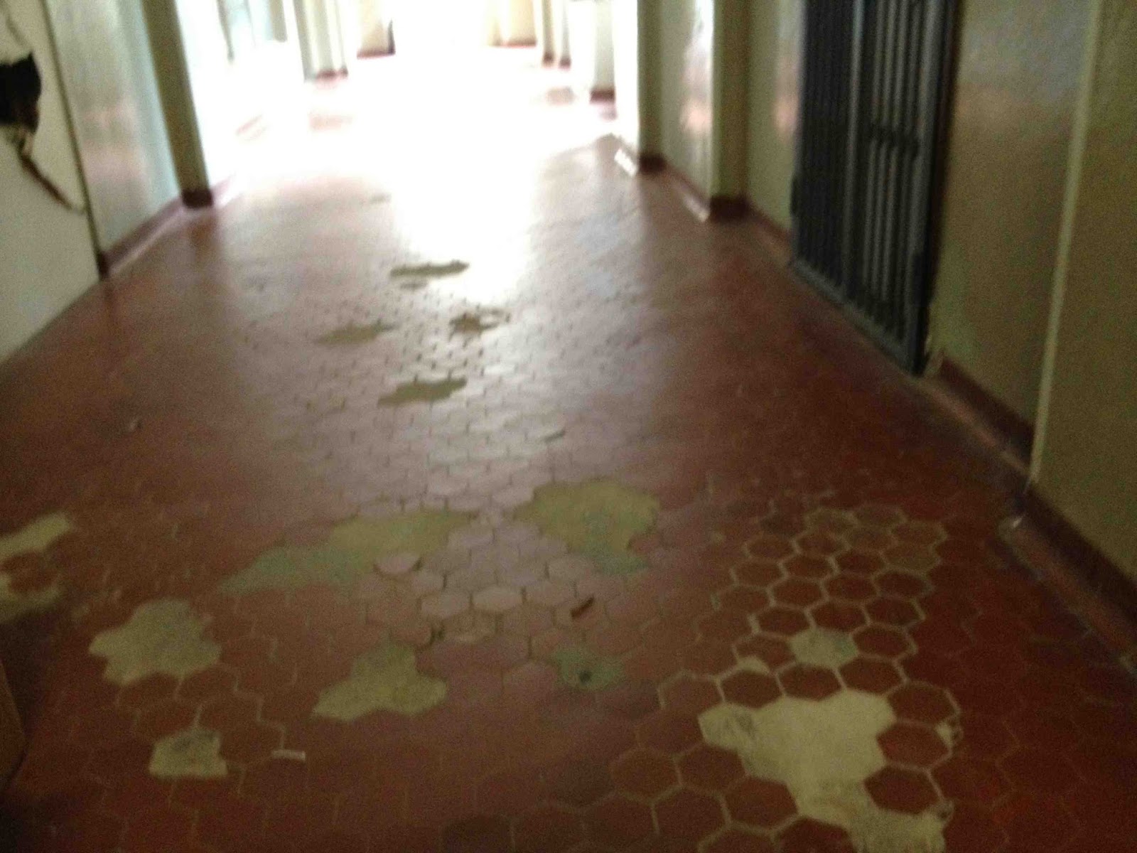 Caso Sara Bosci: Forlanini, l'ospedale abbandonato (3)