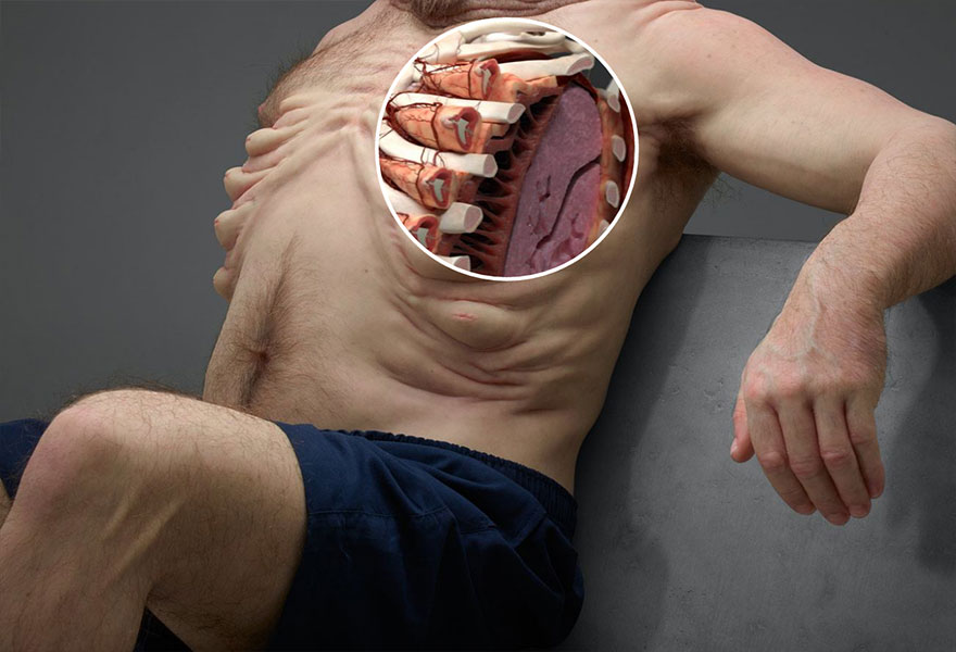 I capezzoli proteggono le costole