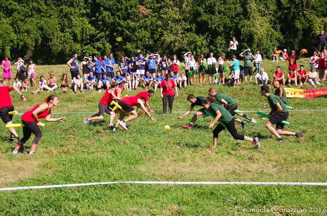 Grifondoro VS Serpeverde