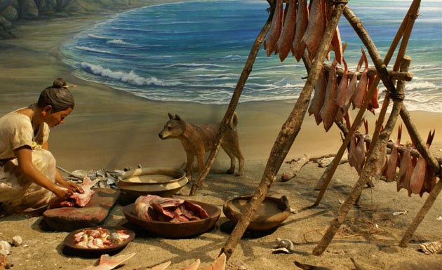 Cane nella comunità