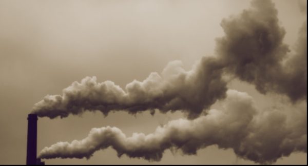 I danni toccherebbero cuore e cervello