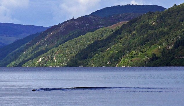 Presunto avvistamento 1