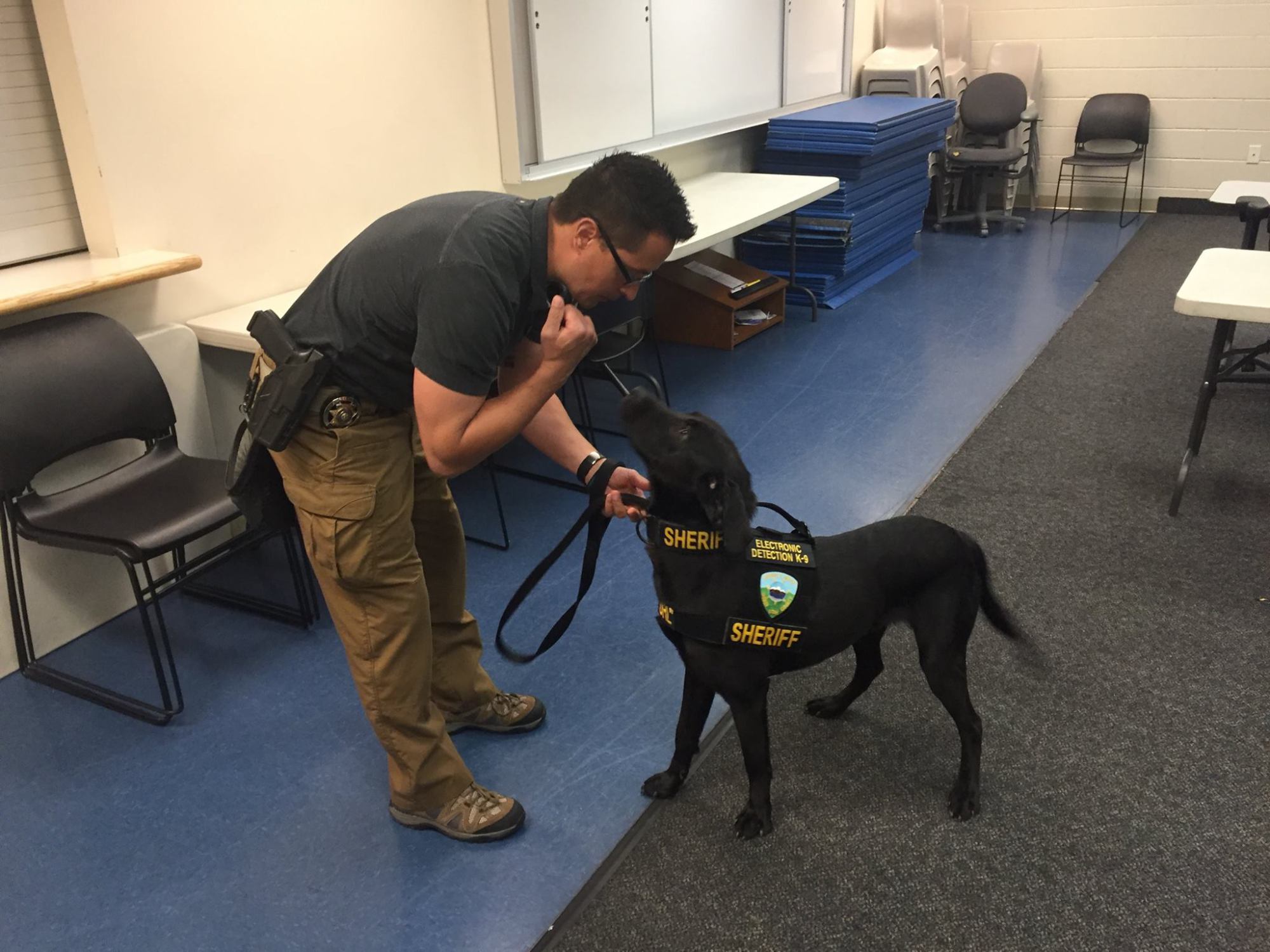 Cameron Harmon con Url