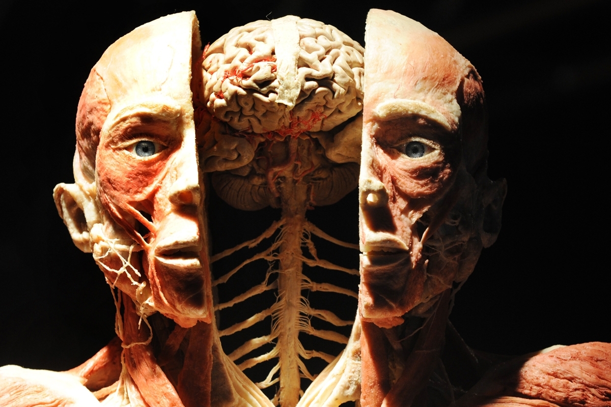 Corpo in esposizione