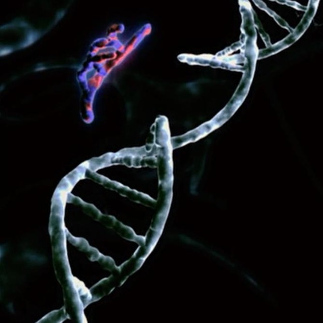Sequenza DNA alterata