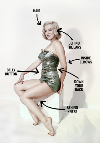 Schema delle parti dove spruzzare il profumo