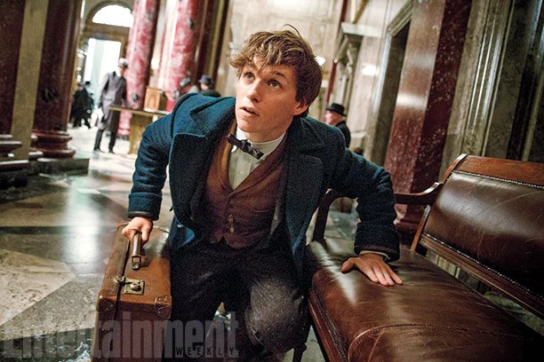 Newt Scamander, protagonista di 