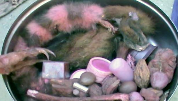 Ingredienti incantesimo