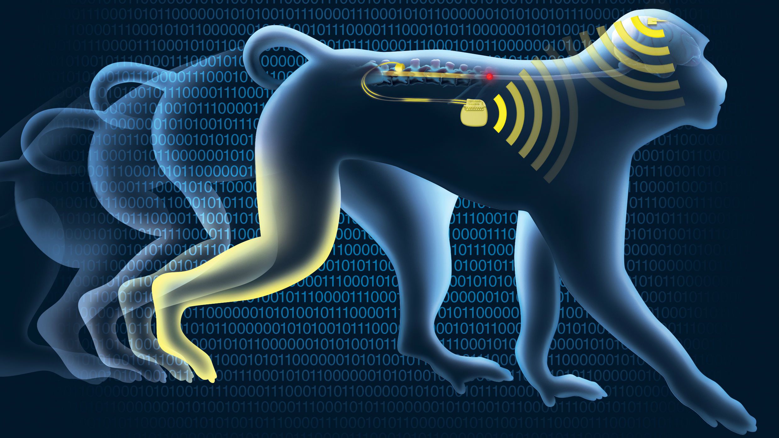 Collegamento wireless