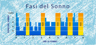 Fasi del sonno
