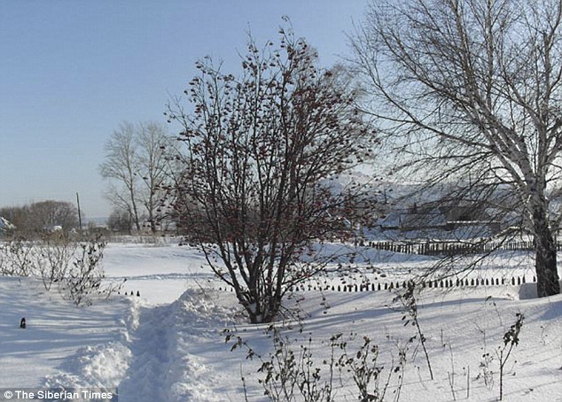 Regione di Altai, Siberia