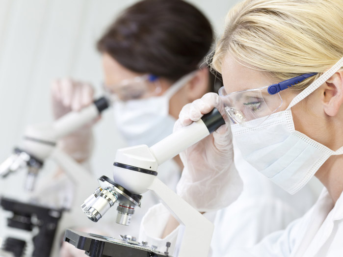 Embrione, Fecondazione in vitro