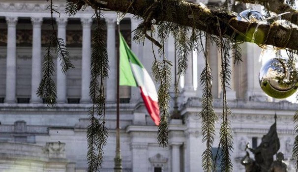 Aghi dell'abete Spelacchio