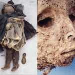Napoli, la mummia di San Domenico aveva epatite B