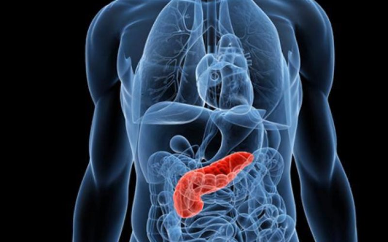 Tumori un test del sangue per la diagnosi precoce Tumori un test del sangue per la diagnosi precoce