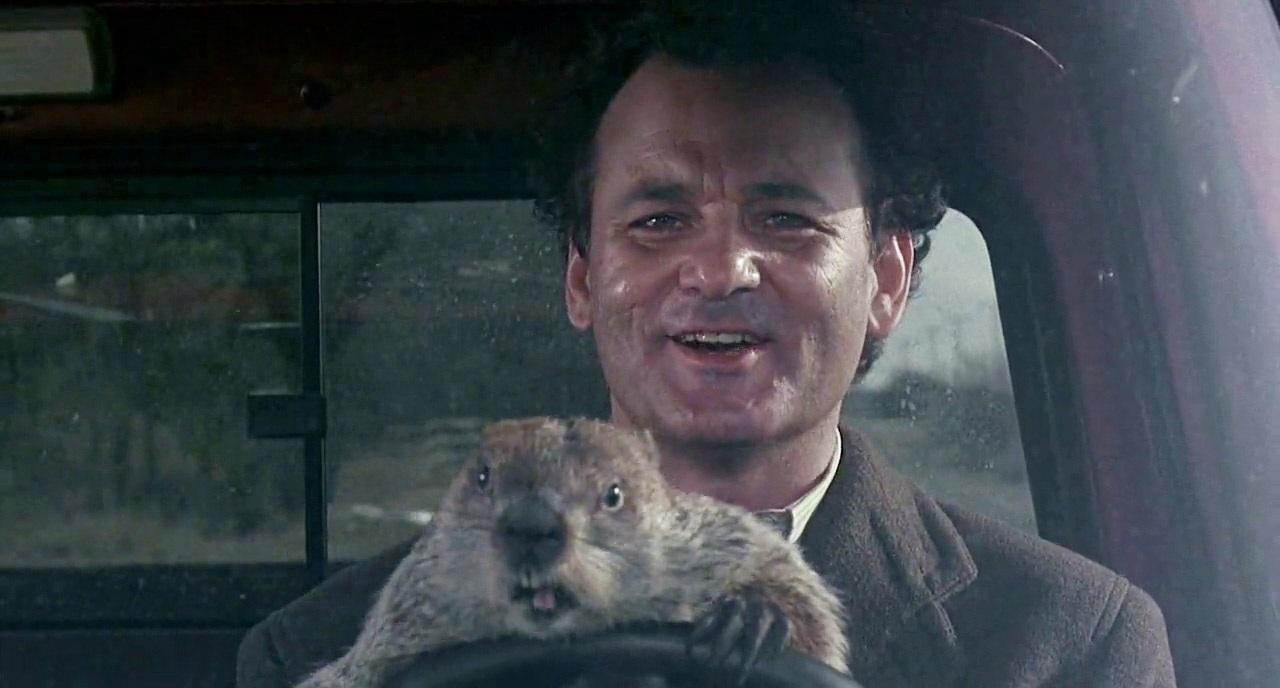 Bill Murry e la marmotta Phil