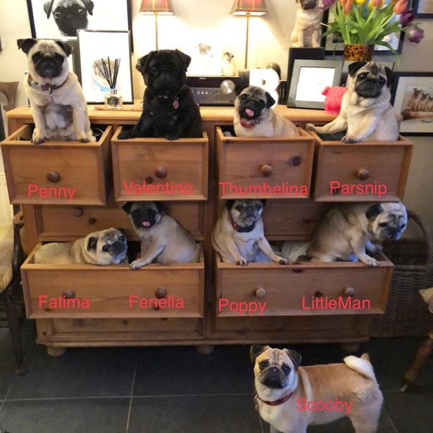 Becca Drake, Carlini