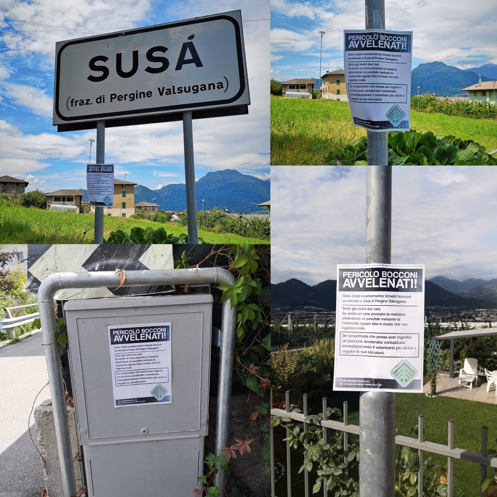 Bocconi avvelenati, Susà