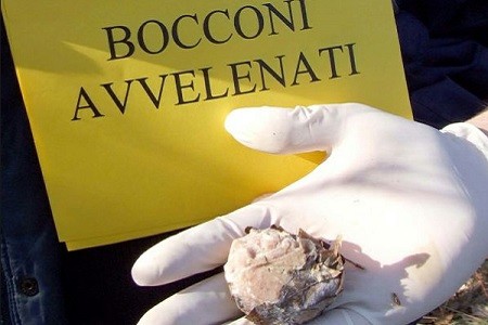 Bocconi avvelenati