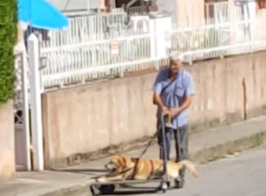 Calabria, anziano a spasso con il suo cane malato