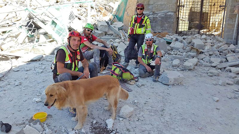 Calamità naturali, cani eroi