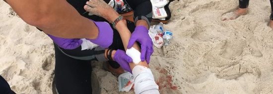 Squalo attacca due ragazzi