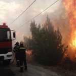 Incendi devastanti in Grecia.