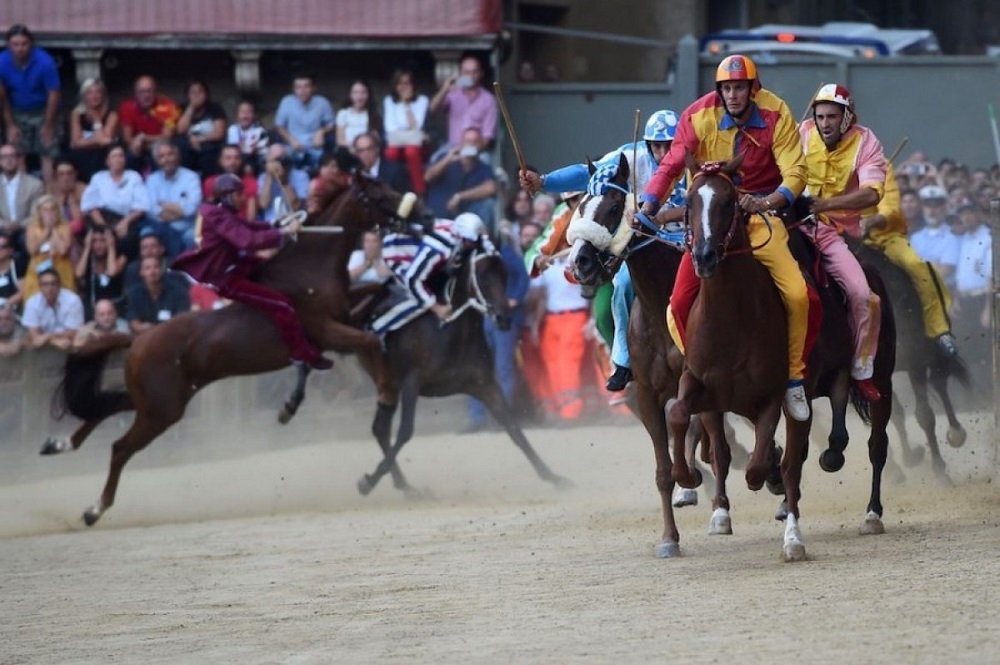 Palio di Siena Straordinario: muore il cavallo Raol.