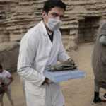Egitto: trovate mummie di gatti e scarabei.