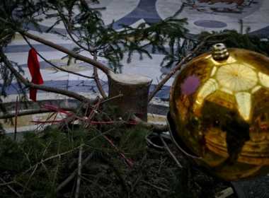 Napoli, Galleria Umberto: rubato albero di Natale.