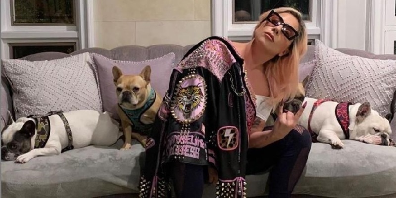 Lady Gaga con i suoi cani
