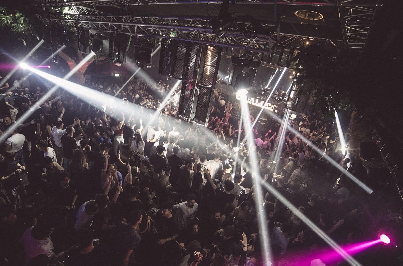 Matis Club Bologna inaugura con Seth Troxler