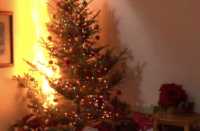 Rovato albero di Natale prende fuoco