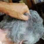 Varcaturo 53enne picchia la madre